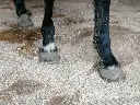 WieWiese-Soft&Dry (4).webp