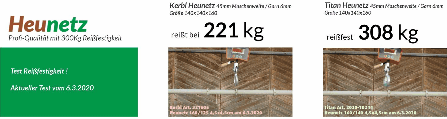 Banner-Reissfest-2020-3.gif