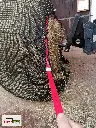 Rundballen-Heunetz-PES34.webp